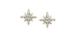 Maple Leaf Diamonds North Star Earrings