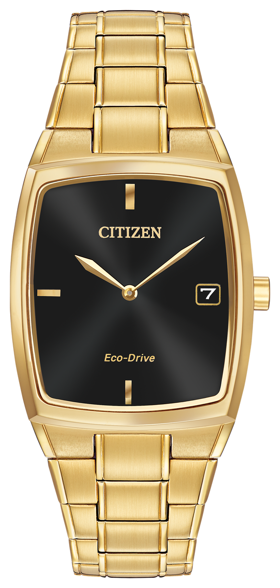 Citizen paradigm outlet watch