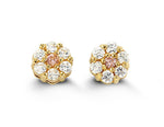 14kt Gold Cluster Baby Stud Earrings