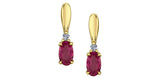 Yellow Gold Ruby Drop Earrings