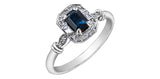 10kt White Gold Sapphire & Diamond Ring