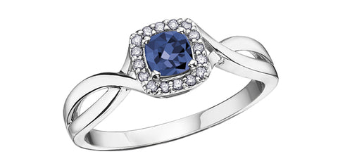 10kt White Gold Sapphire & Diamond Ring