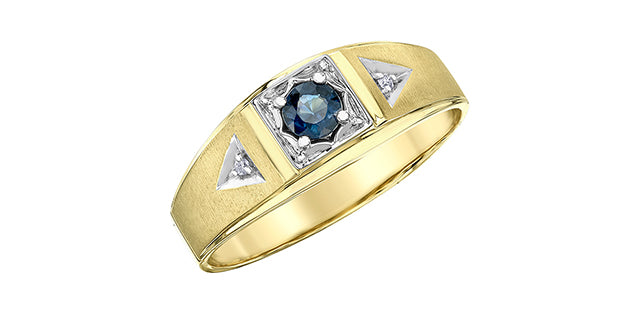 Men's Yellow Gold Sapphire Diamond Ring – Tany's Jewellery