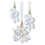 Swarovski Annual Edition 3D Ornament Set 2026 5731943