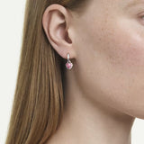 Swarovski Chroma drop earrings 5757814
