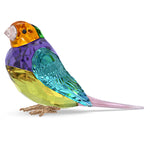 Swarovski Idyllia SCS Gouldian Finch Small 5689266