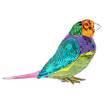 Swarovski Idyllia SCS Gouldian Finch Small 5689266