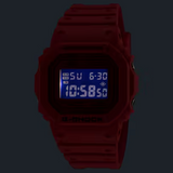 G-SHOCK DIGITAL DW5600RRB-4