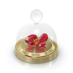 Swarovski Garden Tales Red Poppy Bell Jar Small 5646022