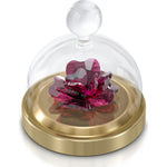 SWAROVSKI Garden Tales Rose Bell Jar, Small 5619223